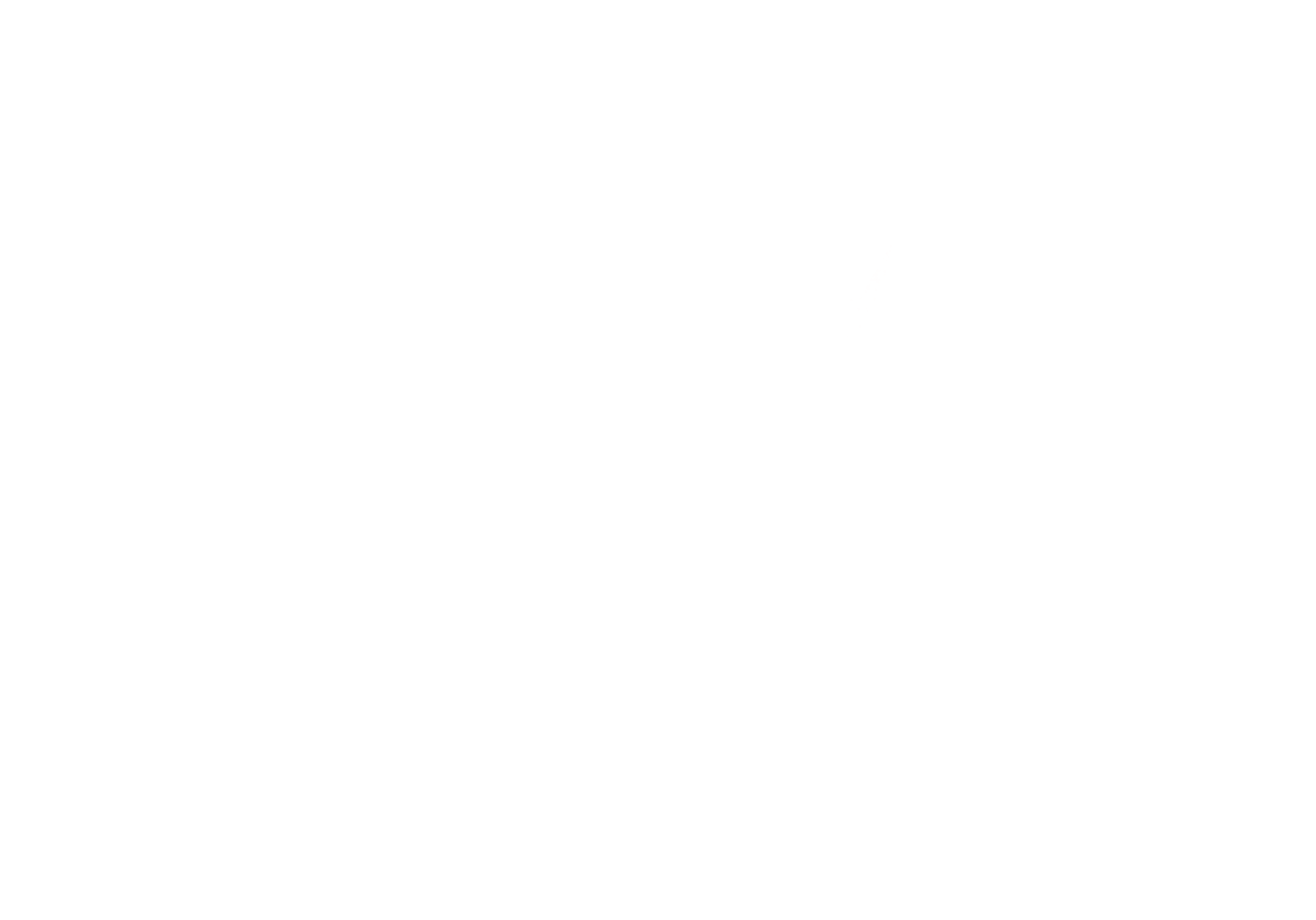 Houston for Palestinian Liberation